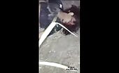 Fatal Accident Caught on Camera