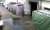 Forklift Crushes Pedestrian
