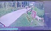 Man Fatally Attacked by Cow
