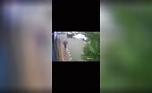 Tree Falls on Father and Daughter