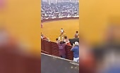Bull Fighter, 22, Gored to Death
