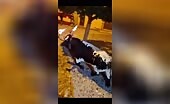 Bull Attack Sends Man Flying