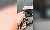3 Dead in Head-On Collision