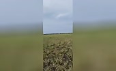Parachute Fails to Open