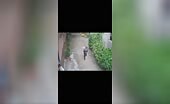 Man Leaps to Death from Apartment