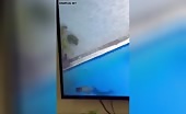 Man Drowns in Pool