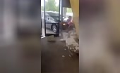 Madness Unfolds in Chaotic Scene