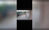 Cow Headbutts Woman into Wall