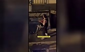 Pit Bull Attacks Owner