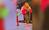 Bizarre Accident Caught on Camera