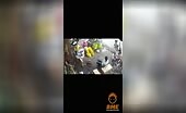 Friends Turned Foes in Brutal Brawl