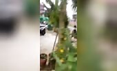 Rhino Attacks Tourist