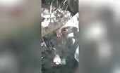 3 Women Decapitated in Murder