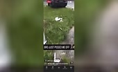 Car Buyer Involved in Crash