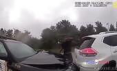 Man Crashes into Police Vehicle