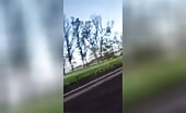 Driver Killed in Head-On Collision