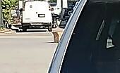 Driver's Inattention Causes Accident