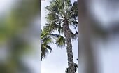 Helicopter Nearly Crushes Man Filming