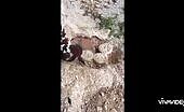 Myanmar Rebels Hit by Mine Explosion
