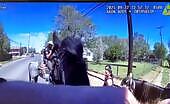 Horse Scares Suspect During Police Chase