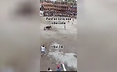 Man Attacked by Savage Bull