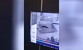 Guard Killed by Falling Iron Gate
