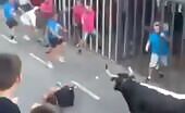 Spanish Men Engage in Violent Fight