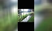 Jaywalker Hit by Speeding Car
