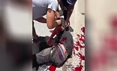Train Crash Kills Passengers
