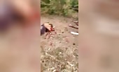 Brazil Traffic Accident Kills 3