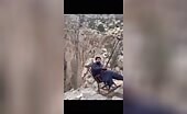 TikToker Falls to Death Off Cliff