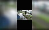 Train Horn Fails to Warn