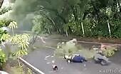 Tree Branch Falls on Motorcycle