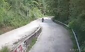 Tree Falls on Motorbike Passenger