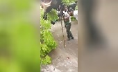 Tree Falls on Person's Head