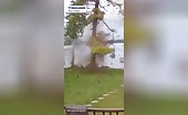 Lightning Strike Hits Tree