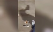 Pedestrians Hit by Bikes