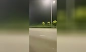 Biker Crashes During Wheelie Stunt