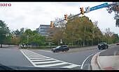 Woman Runs Red Light with Dog