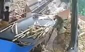 Man Falls into Industrial Shredder