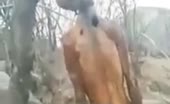 Body Found Hanging from Tree