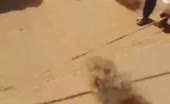 Men Dragged Headless in Desert