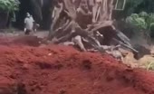 Dump Truck Unloads Dried Corpses Near Mass Grave