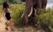 Elephant Charges Woman With Banana
