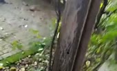 Execution in Home