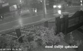 Man Executed Like Deer In Headlights