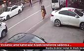 Woman Loses Control In Violent Road Rage Incident