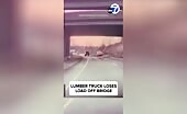 Stupid Choices Lead to Tragic Consequences