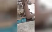 Tik Tok Challenge Ends in Violent Attack