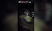 Man Feeds Pet Alligator Blood
